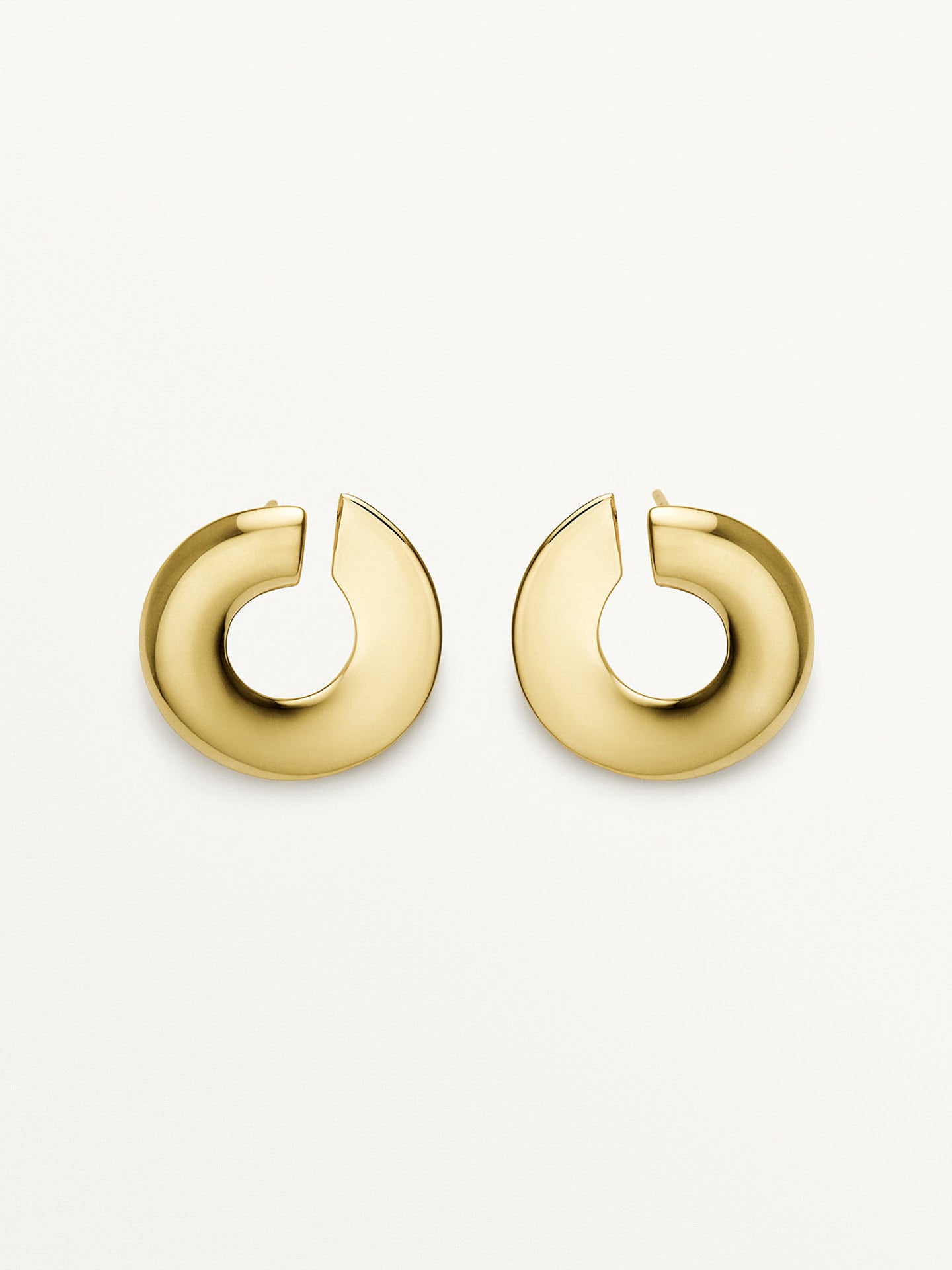 L'Art est un fruit Earrings